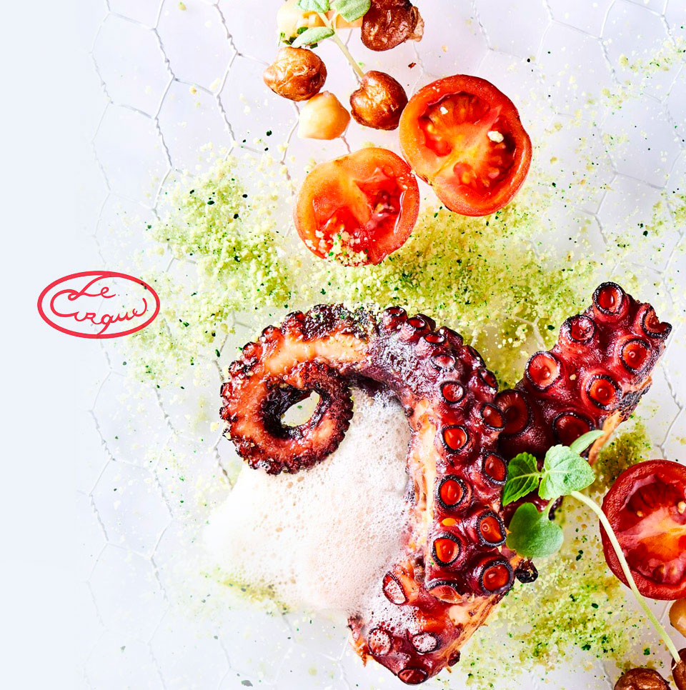 Le Cirque Dubai Website Launch, The well-known French restaurant in New York - Aimstyle portfolio project